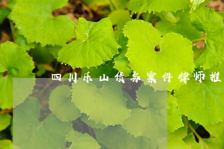 四川乐山债务案件律师推荐 四川乐山债务案件律师推荐