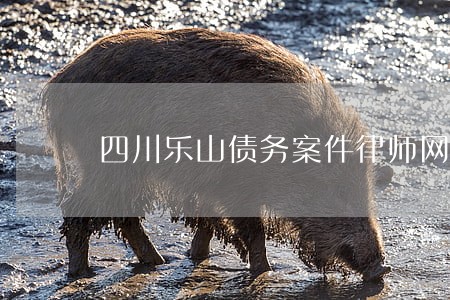 四川乐山债务案件律师网 四川乐山债务案件律师网