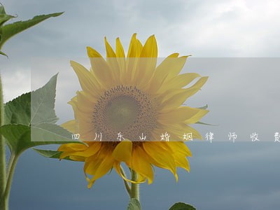 四川乐山婚姻律师收费 四川乐山婚姻律师收费