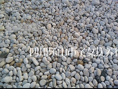 四川乐山市子女抚养律师事务所 四川乐山市子女抚养律师事务所