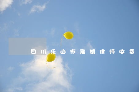 四川乐山市离婚律师收费 四川乐山市离婚律师收费