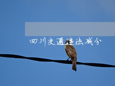 四川交通违法减分 四川交通违法减分