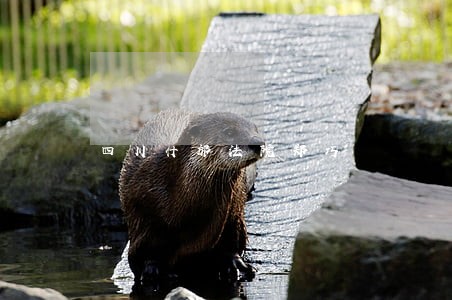 四川什邡法院郑巧 四川什邡法院郑巧