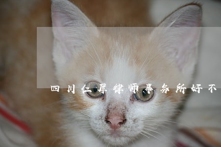 四川仁厚律师事务所好不好 四川仁厚律师事务所好不好