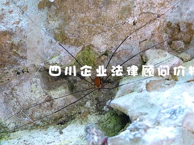 四川企业法律顾问价格