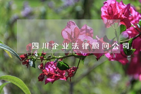 四川企业法律顾问公司 四川企业法律顾问公司