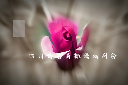 四川侵害商标侵权纠纷 四川侵害商标侵权纠纷