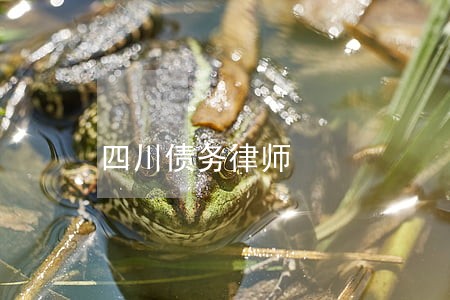 四川债务律师 四川债务律师
