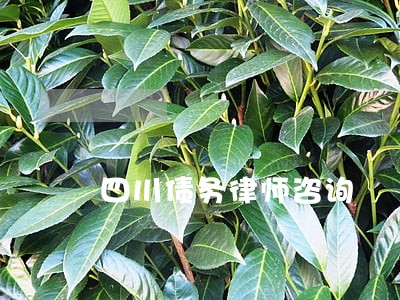 四川债务律师咨询 四川债务律师咨询
