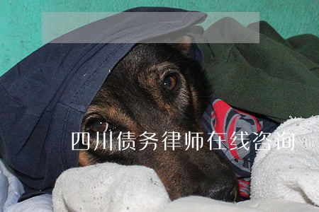 四川债务律师在线咨询 四川债务律师在线咨询