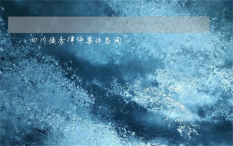 四川债务律师案件咨询 四川债务律师案件咨询