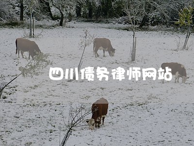 四川债务律师网站 四川债务律师网站