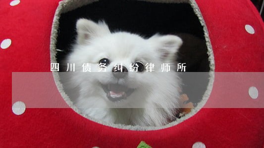 四川债务纠纷律师所