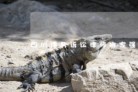 四川债务诉讼律师哪家强 四川债务诉讼律师哪家强