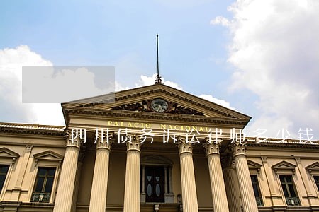 四川债务诉讼律师多少钱