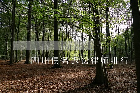 四川债务诉讼律师排行 四川债务诉讼律师排行