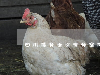 四川债务诉讼律师案件咨询 四川债务诉讼律师案件咨询
