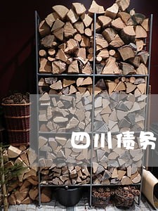 四川债务诉讼律师费用咨询 四川债务诉讼律师费用咨询