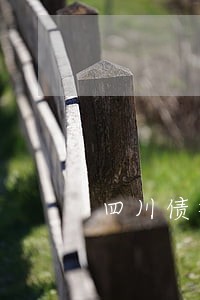 四川债权债务律师法律咨询 四川债权债务律师法律咨询