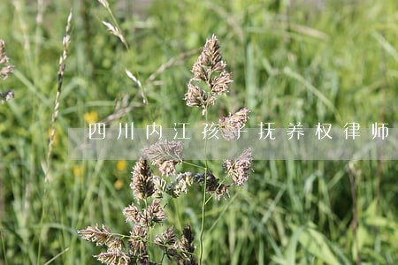 四川内江孩子抚养权律师电话咨询 四川内江孩子抚养权律师电话咨询