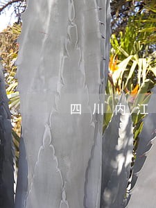 四川内江资中律师事务所名录