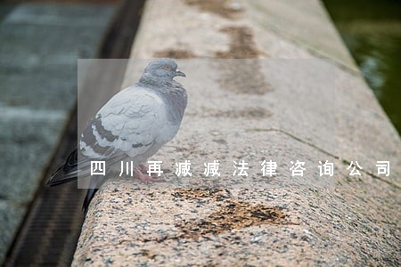 四川再减减法律咨询公司 四川再减减法律咨询公司