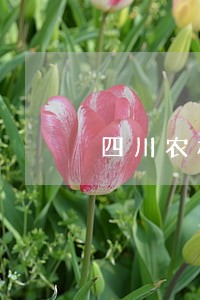 四川农村信用社逾期 四川农村信用社逾期