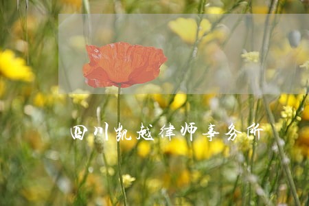 四川凯越律师事务所 四川凯越律师事务所