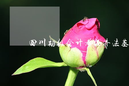 四川初级会计考经济法基础 四川初级会计考经济法基础