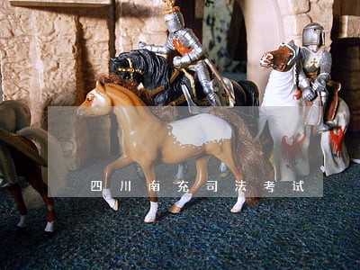 四川南充司法考试 四川南充司法考试