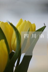 四川南充市法院招聘 四川南充市法院招聘
