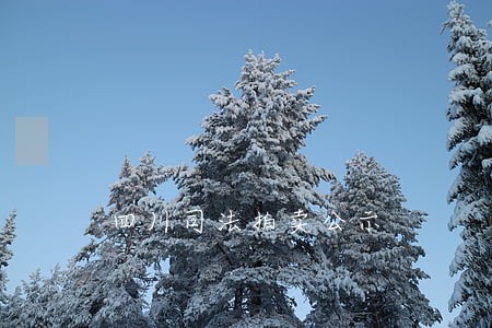 四川司法拍卖公示 四川司法拍卖公示