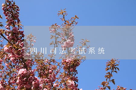 四川司法考试系统 四川司法考试系统