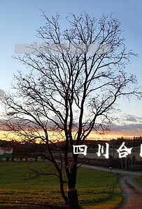 四川合同审查律师咨询 四川合同审查律师咨询
