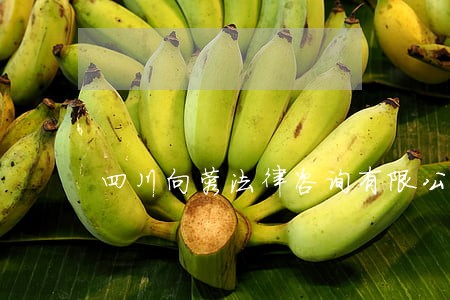 四川向蓉法律咨询有限公司 四川向蓉法律咨询有限公司