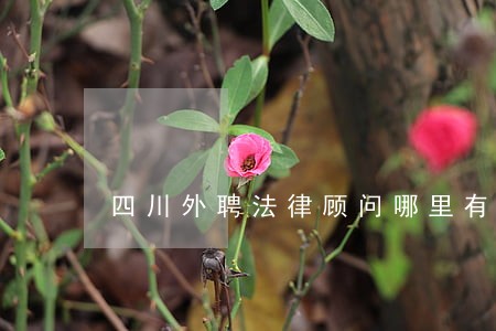 四川外聘法律顾问哪里有 四川外聘法律顾问哪里有