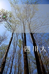 四川大学王竹民法慕课 四川大学王竹民法慕课