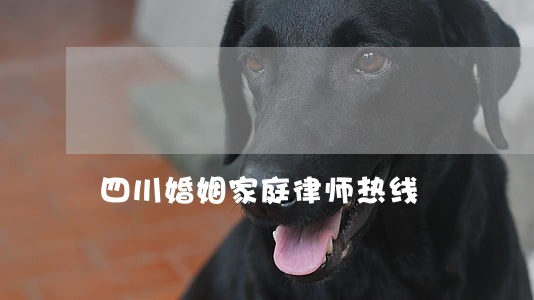 四川婚姻家庭律师热线 四川婚姻家庭律师热线