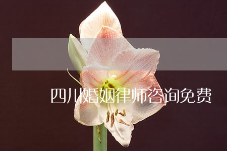 四川婚姻律师咨询免费 四川婚姻律师咨询免费