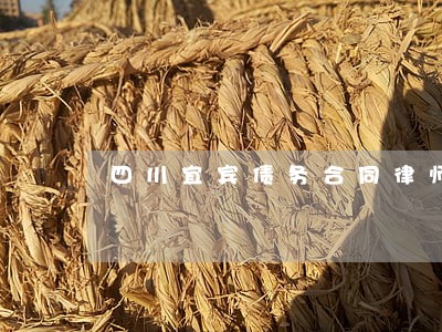 四川宜宾债务合同律师找谁好 四川宜宾债务合同律师找谁好