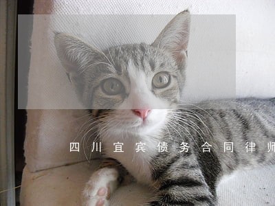 四川宜宾债务合同律师服务网站