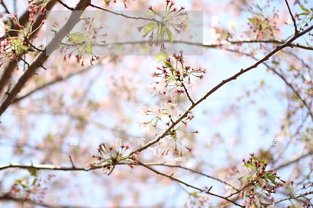 四川宜宾债务律师电话 四川宜宾债务律师电话