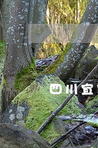 四川宜宾劳动纠纷律师哪家好 四川宜宾劳动纠纷律师哪家好