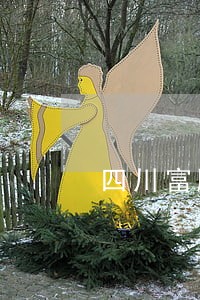 四川富顺离婚证 四川富顺离婚证