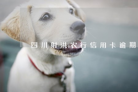 四川射洪农行信用卡逾期协商流程 四川射洪农行信用卡逾期协商流程