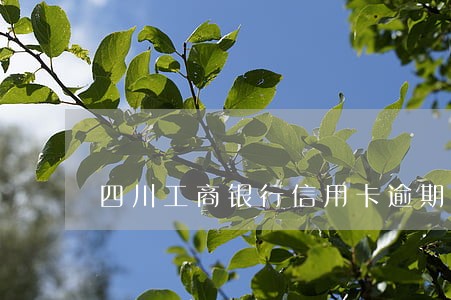 四川工商银行信用卡逾期 四川工商银行信用卡逾期