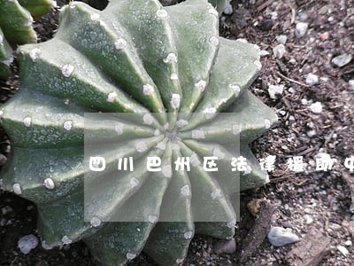 四川巴州区法律援助中心 四川巴州区法律援助中心
