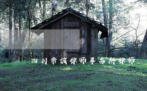 四川常诚律师事务所律师