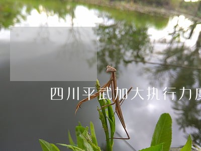 四川平武加大执行力度
