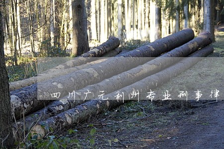四川广元利州专业刑事律师排行榜 四川广元利州专业刑事律师排行榜